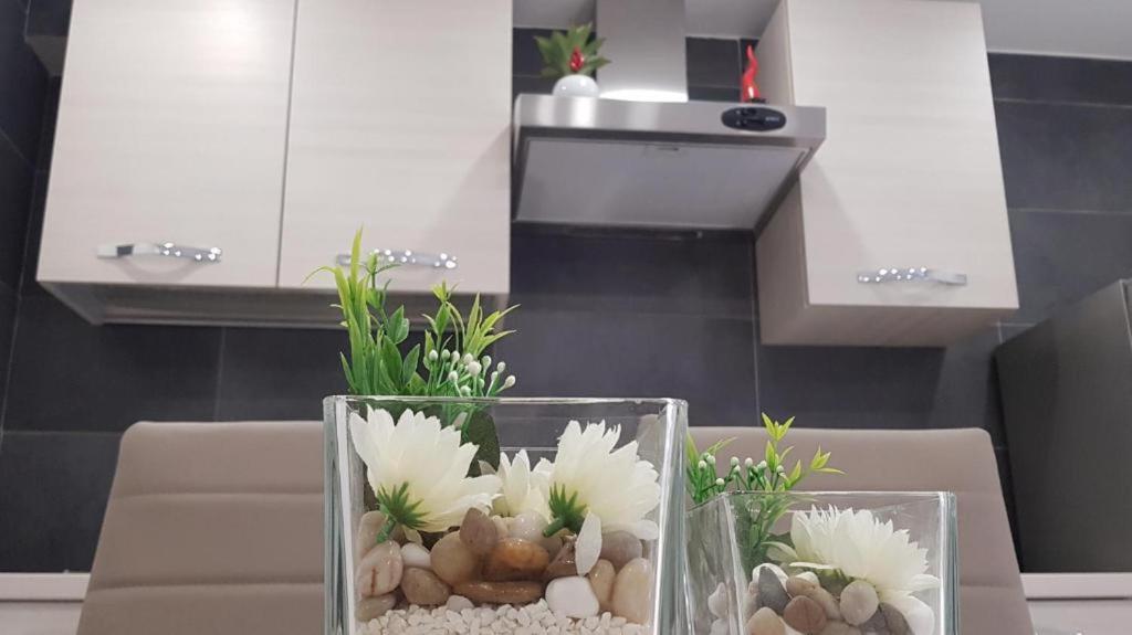 Appartement Da Ninetta Resterete Senza Parole, Garantito!