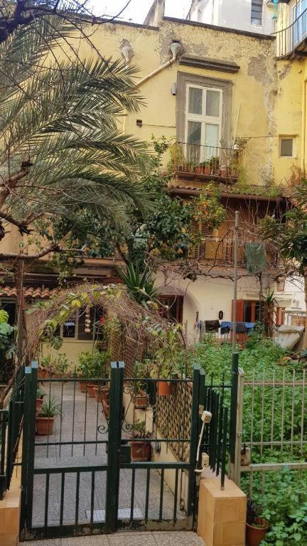 Appartement Da Ninetta Resterete Senza Parole, Garantito!