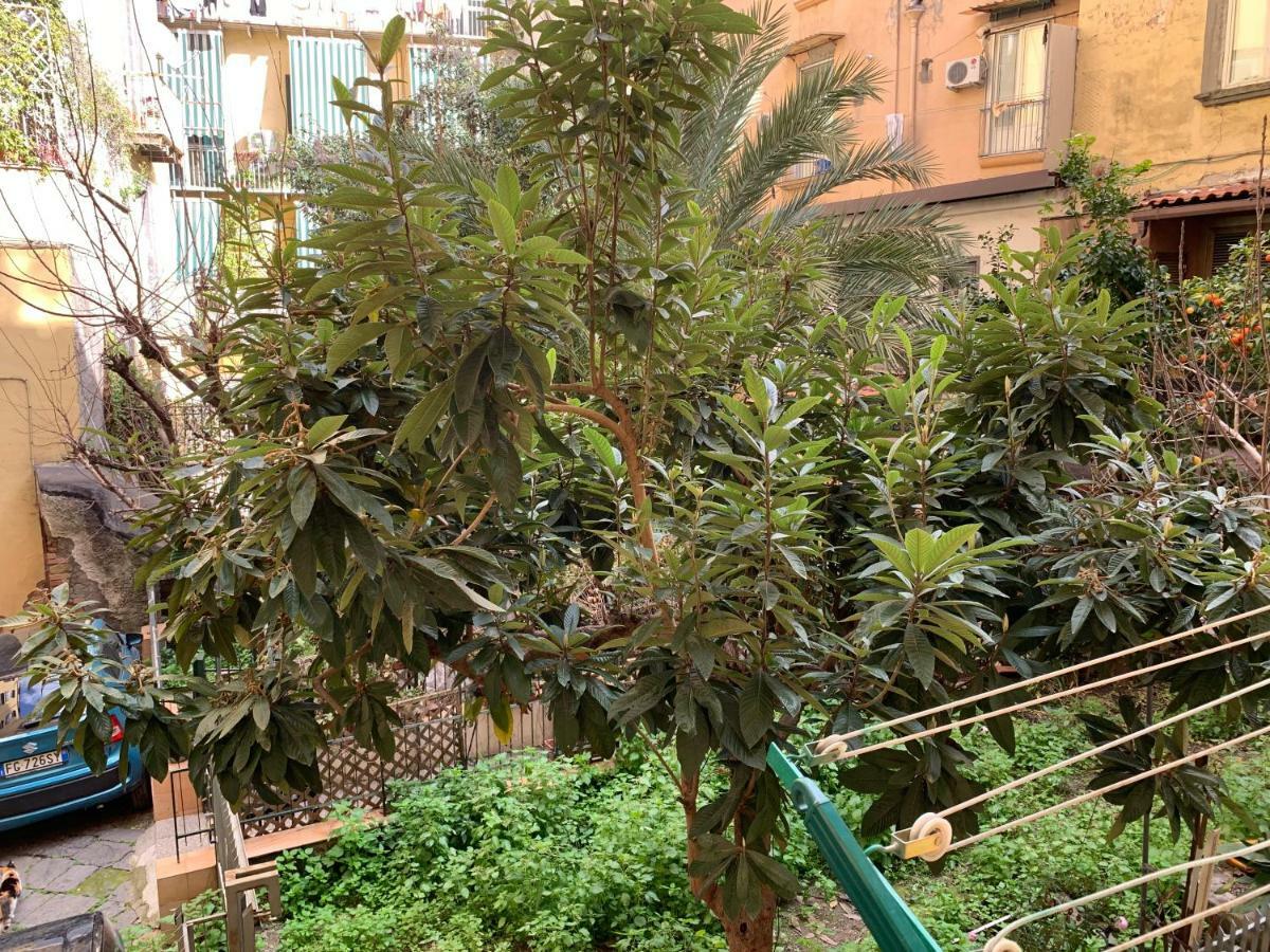 Da Ninetta Resterete Senza Parole, Garantito! Napels